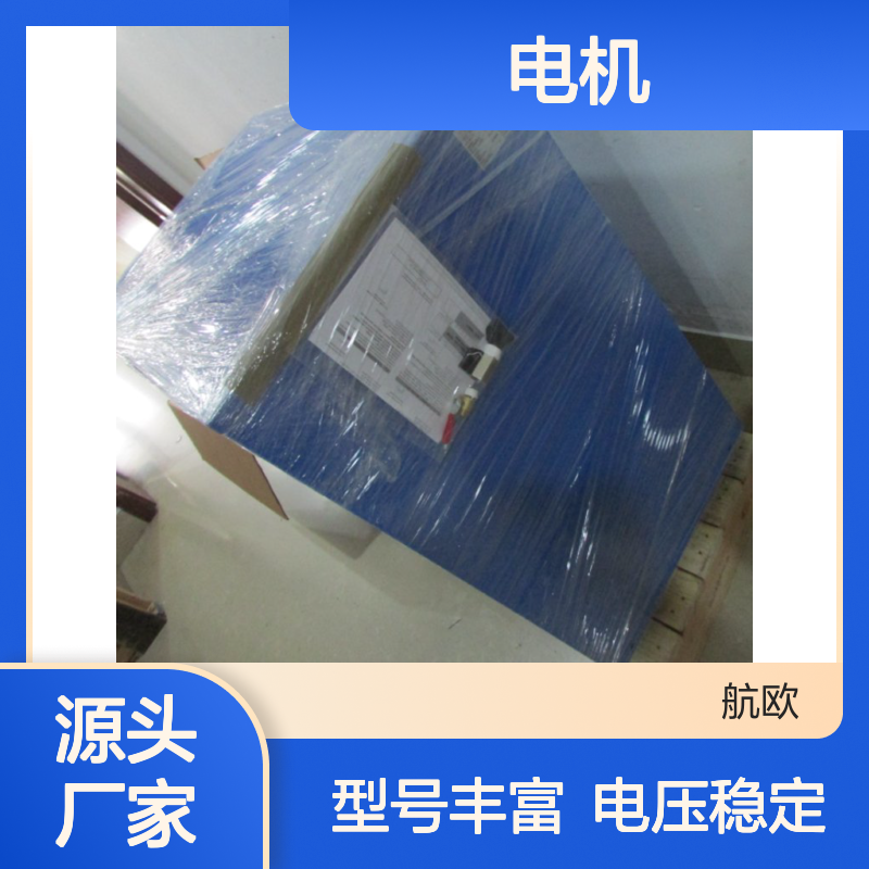 GIS品牌电机GPFX730259P0001型号非加工定制重1kg