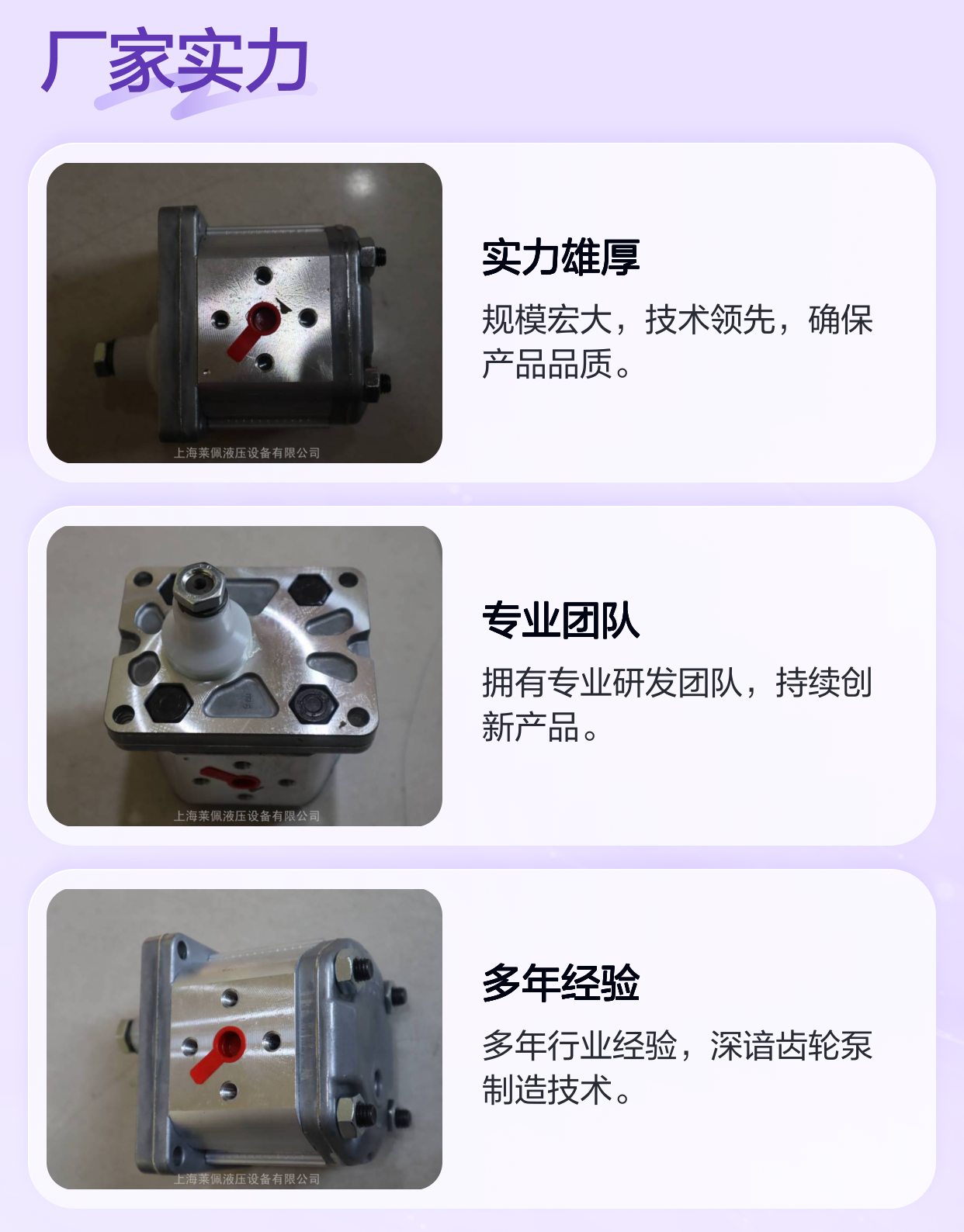 ALP2-D-13 马祖奇MARZOCCHI齿轮泵 高效稳定 原装进口