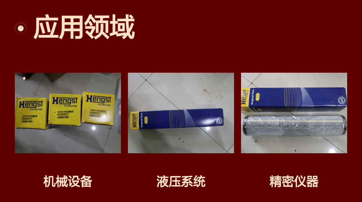 汉格斯特HENGST R928006915过滤器滤芯 10U精度