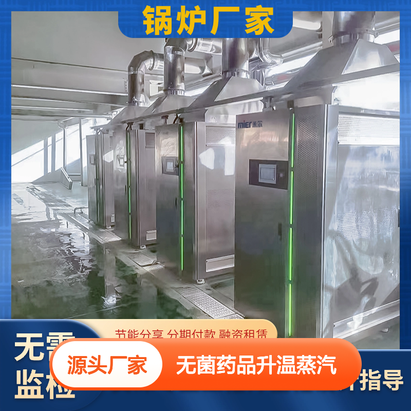 无菌药品升温蒸汽 MR-ZQ1.0T(H）发生器 高效热能全自动运行