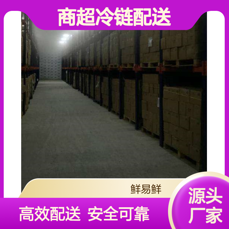 冷链运输 大件运输物流 商超冷链配送 专线服务