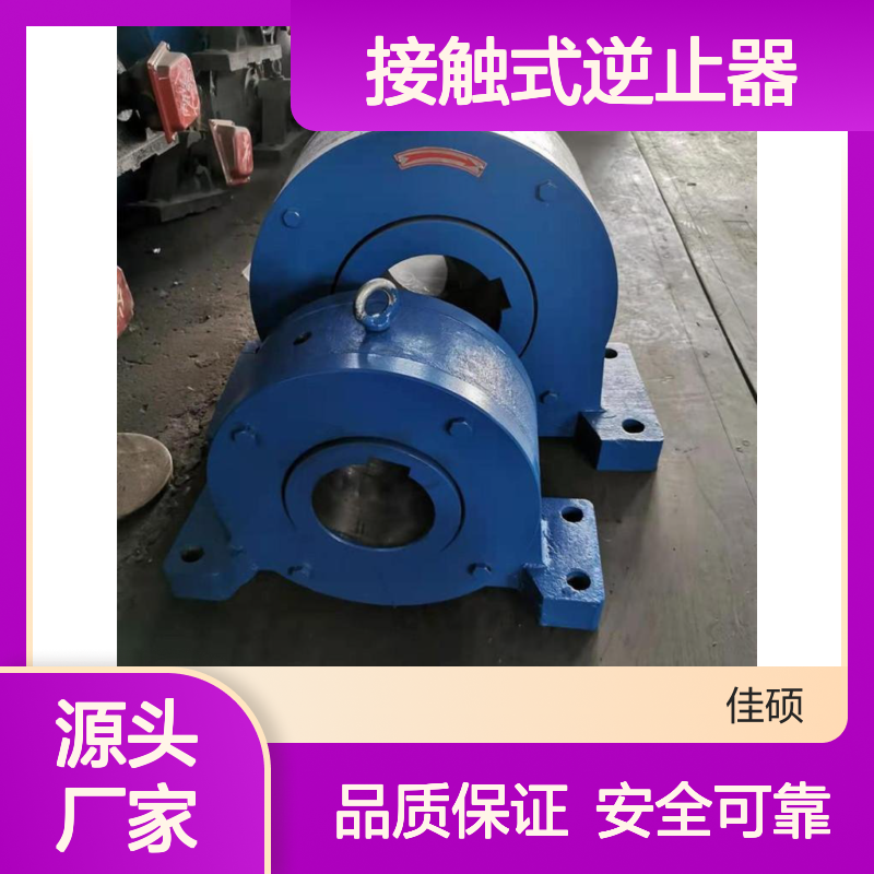 NF63接触式逆止器 防倒转装置 力矩超大 性能优越
