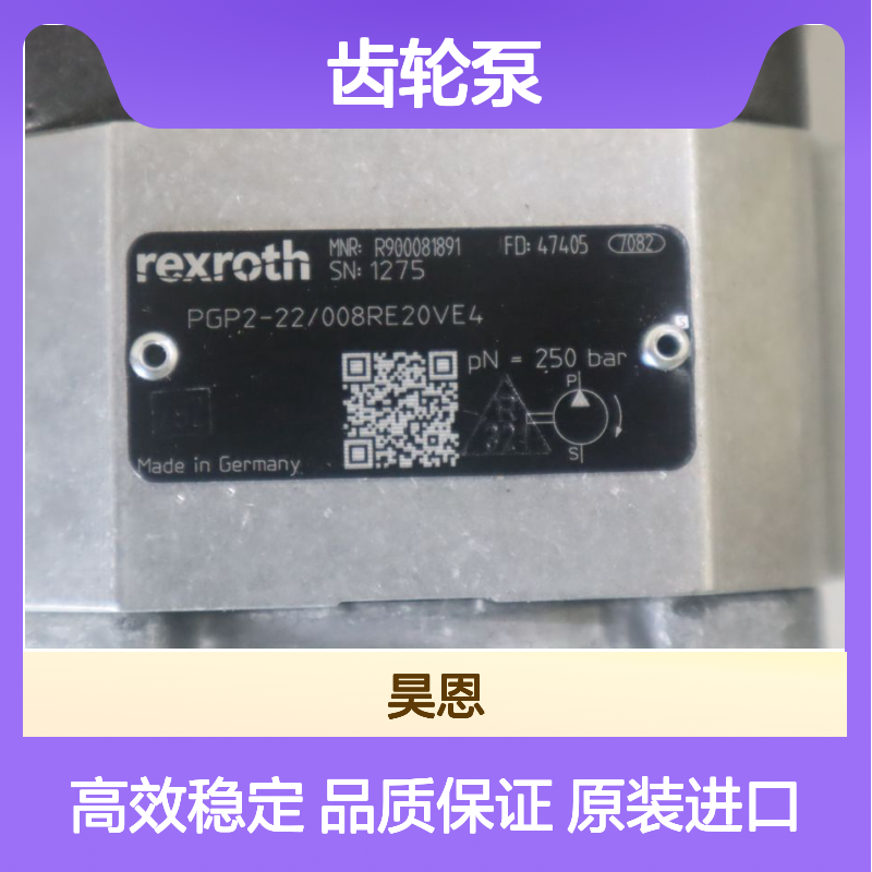 PGP2-20/008RE20VE4 R900081891 德国REXROTH力士乐齿轮泵