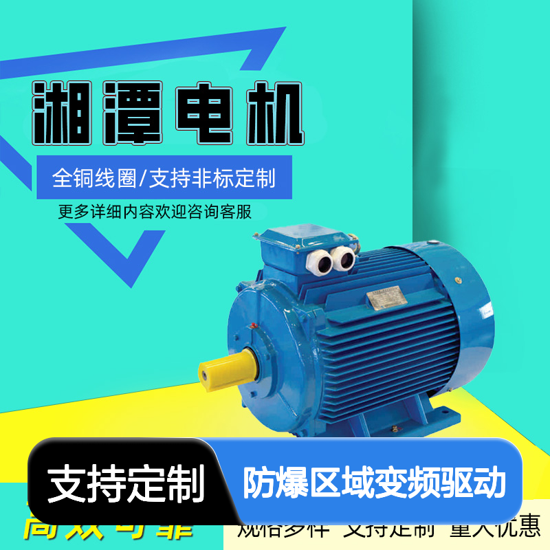 湘1潭2电机YBBP隔爆型变频调速电机防爆区域变频驱动