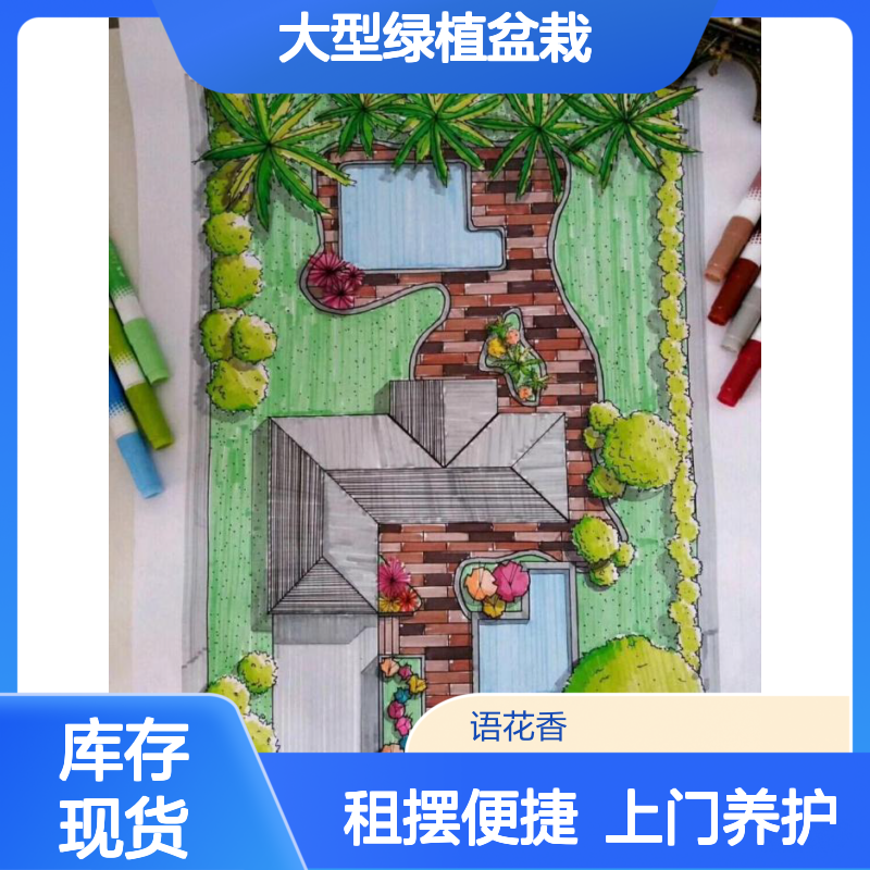 语花香园林 开业乔迁 绿植摆放租赁大型绿植盆栽 上门养护