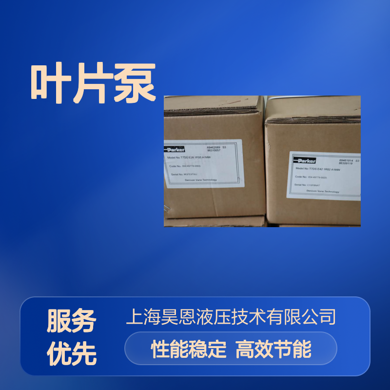 T7DS E42 1R02 A1MW 054-49779-002S 派克PARKER丹尼逊DENISON叶片泵