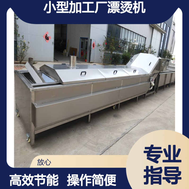 蒸煮设备 小型加工厂漂烫机 水产品蒸煮生产线