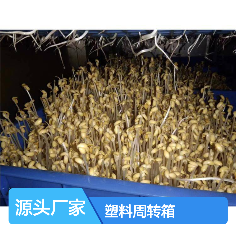 乔丰塑料周转箱 多种规格可选 绿色环保 防潮防霉