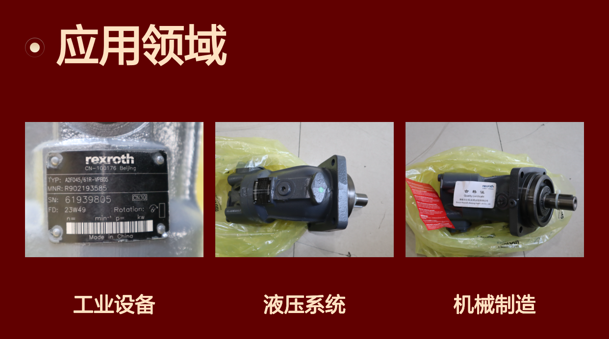 原装R902193585 A2FO45/61R-VPB05 德国力士乐REXROTH柱塞泵 马达