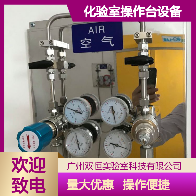 高精度化验室操作台设备 防腐耐用专业设计 实验室特气管道适用