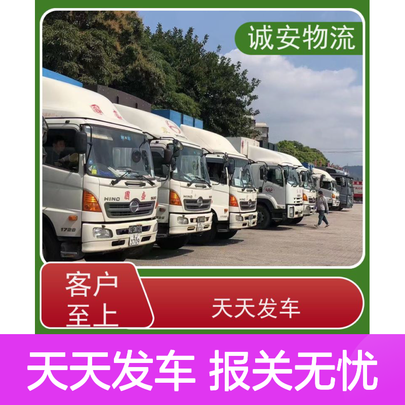 诚安物流40尺自备柜东莞到澳门出口报关随时发车