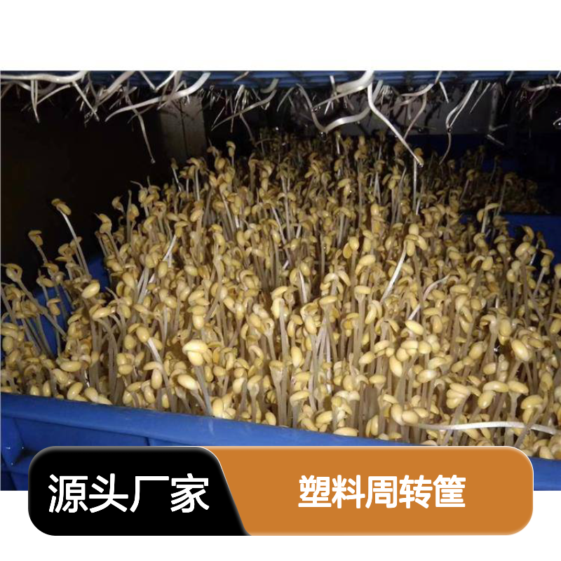 乔丰塑料周转筐 坚固耐用 平整美观 承载力强 抗冲击高