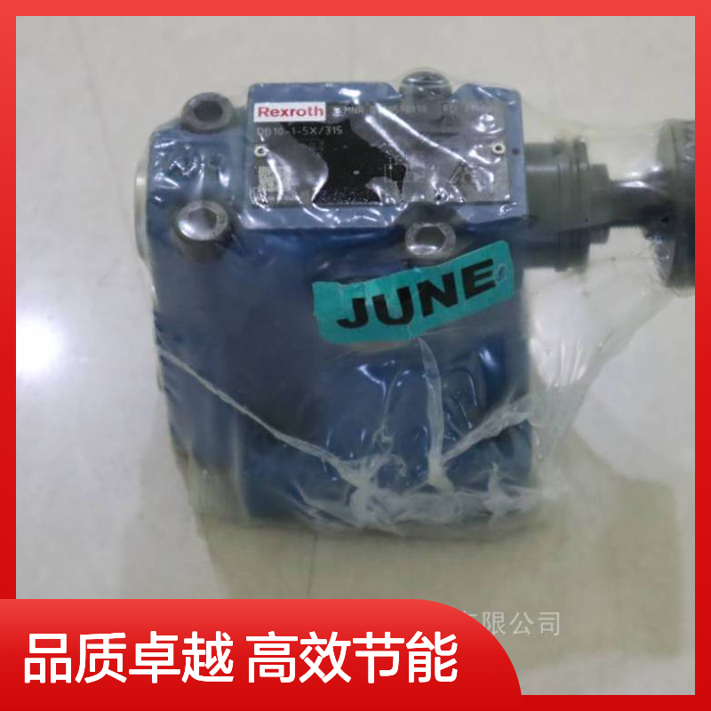供应 力士乐 DB10-1-5X315 R900598998 溢流阀 Rexroth