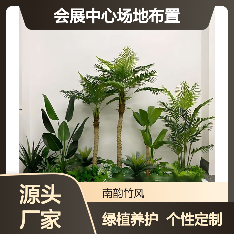 南韵竹风 个性定制 临时植物租赁 绿植养护 福 田会展中心场地布置