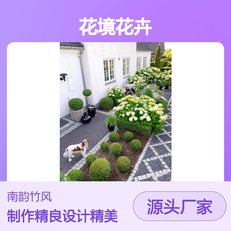 庭院绿植搭配 阳台园林景观设计制作 花境花卉品种优选 南韵竹风