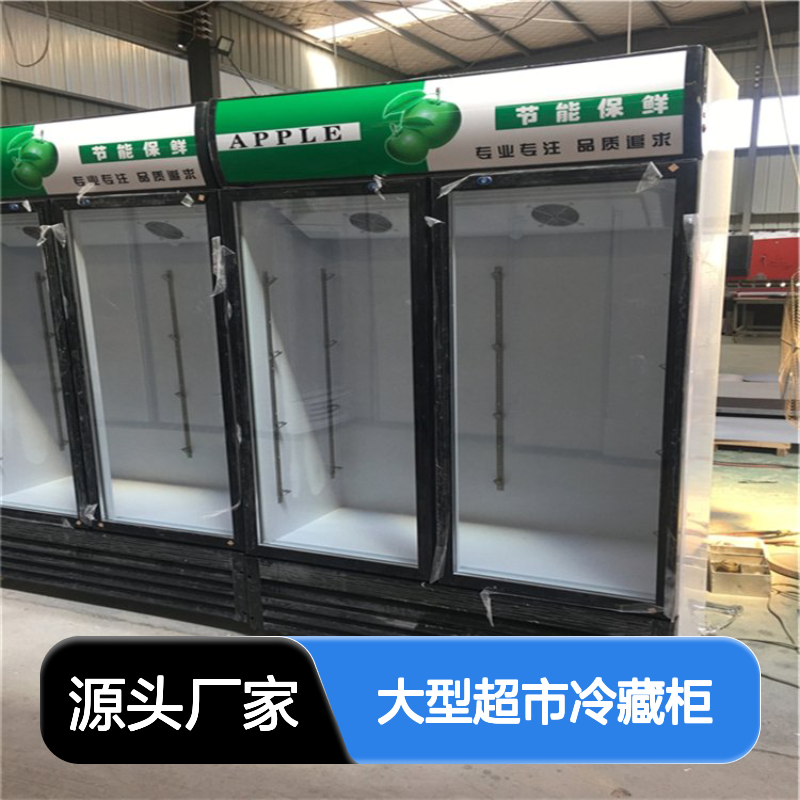 铜管双门立式冷藏展示柜 大型超市冷藏柜饮料柜
