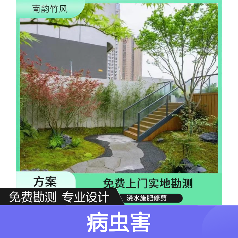 南韵竹风 绿化施工 庭院景观 功能分区 病虫害防治