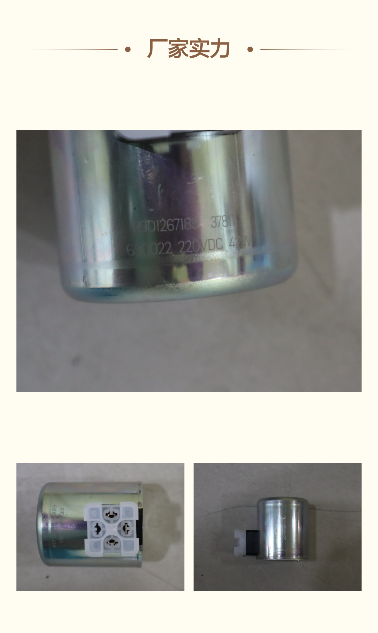 R901267189 AS 220VDC 42W 德国力士乐REXROTH电磁阀10通经线圈