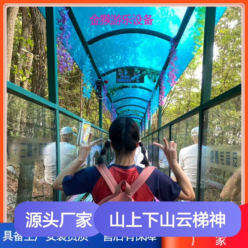 金猴游乐山上下山云梯神器 多功能飞天魔毯 景区游乐设备