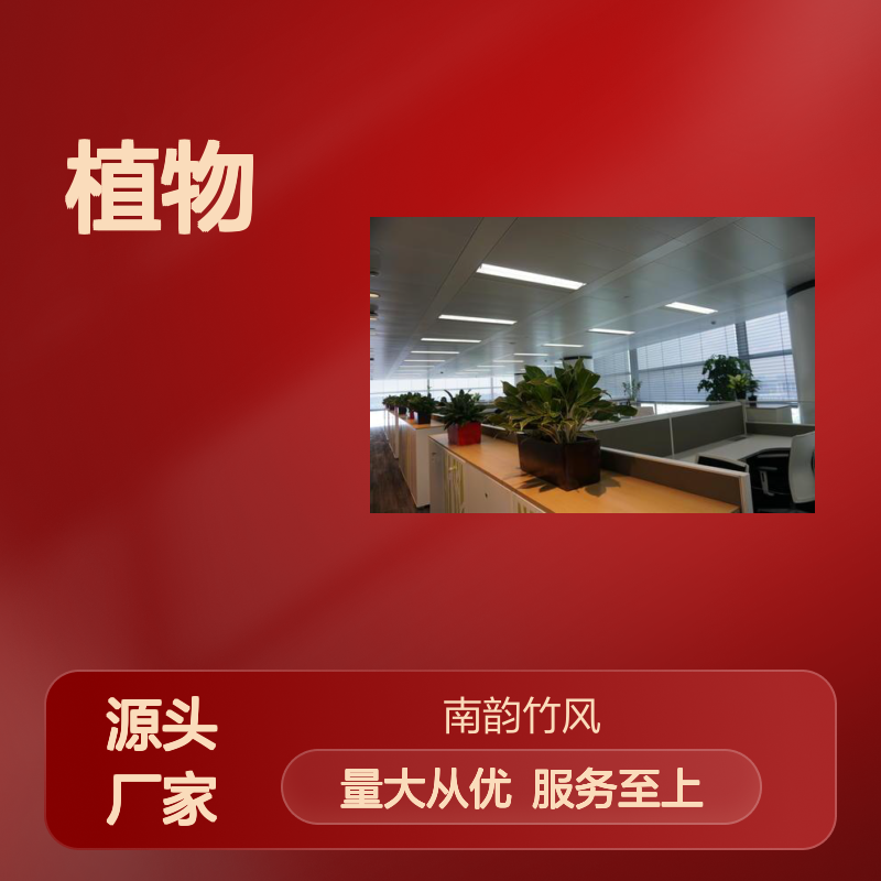 花木养护服务 坪山区植物出租厂家直供 品种多样