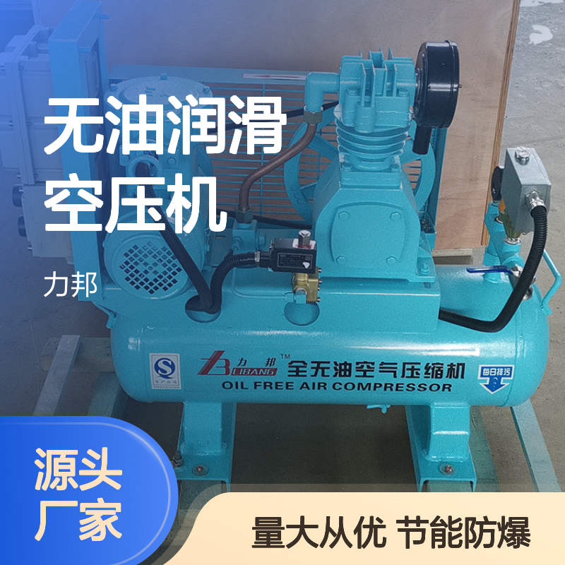 节能型防爆式 全无油空气压缩机 无油润滑空压机 厂家供应 质保一年