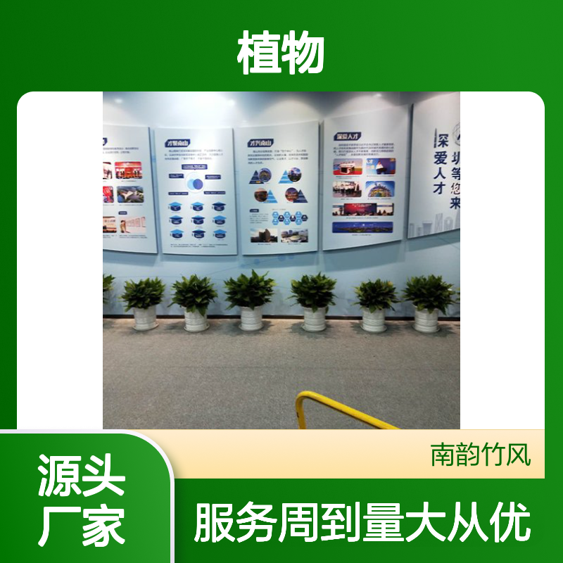 南韵竹风植物租摆服务 绿化工程专家 品种多样