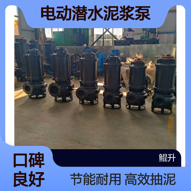 鲲升泵业立式电动潜水泥浆泵 高效抽泥浆专用设备