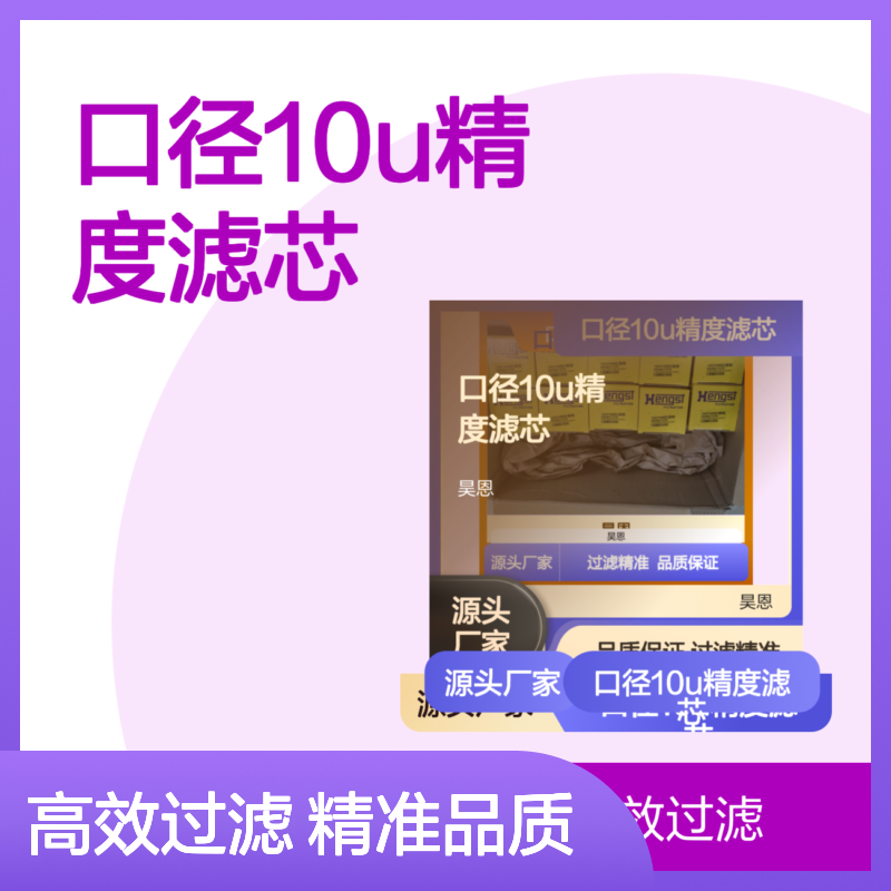 汉格斯特HENGST 10压差222mm口径10U精度滤芯