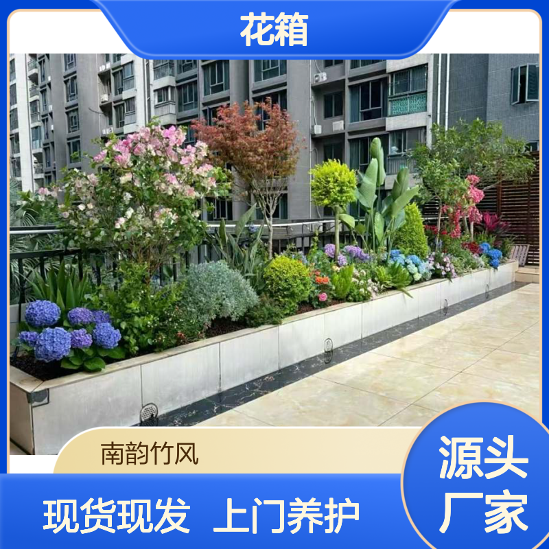 深 圳花箱绿植造景 花 箱景观租赁 上门养护 现货现发 2小时送达