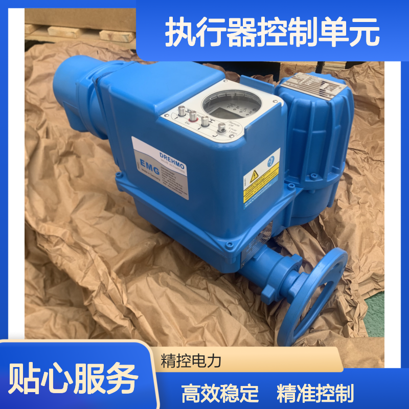 电动执行器控制单元 EMG-DIM005-DCS|DIM500-B3，B1+LE50.1-R-D CS