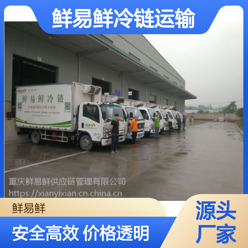 广州到佛山物流专线 优质服务一站直达 鲜易鲜冷链运输
