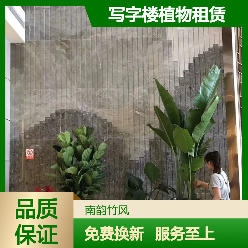 办公室花卉租摆 写字楼植物租赁服务 基地种植 好货易打理