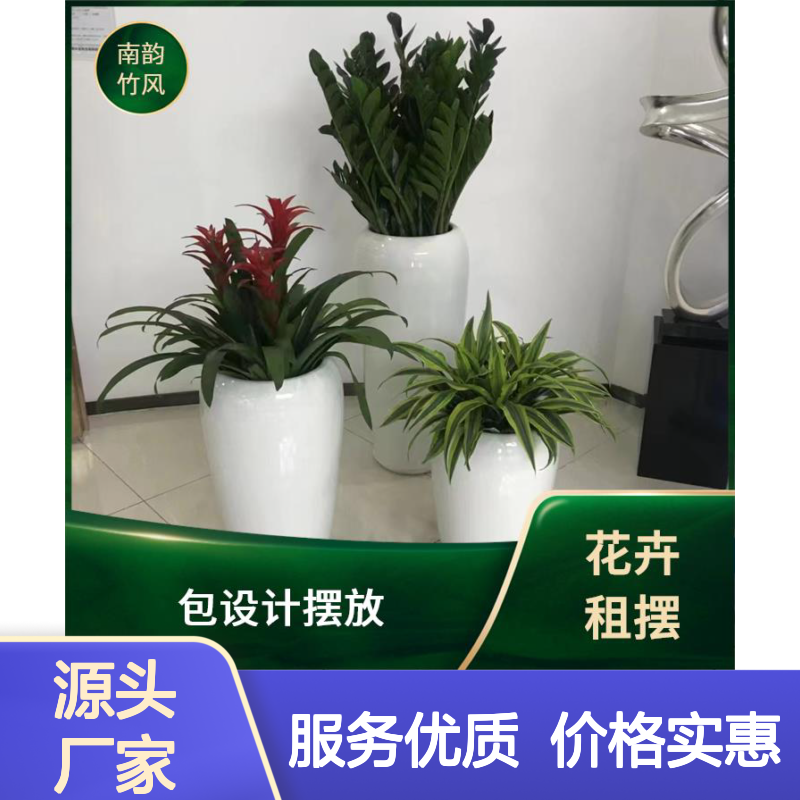 南韵竹风盆栽出租服务 承接绿化工程 后期养护 保合格率