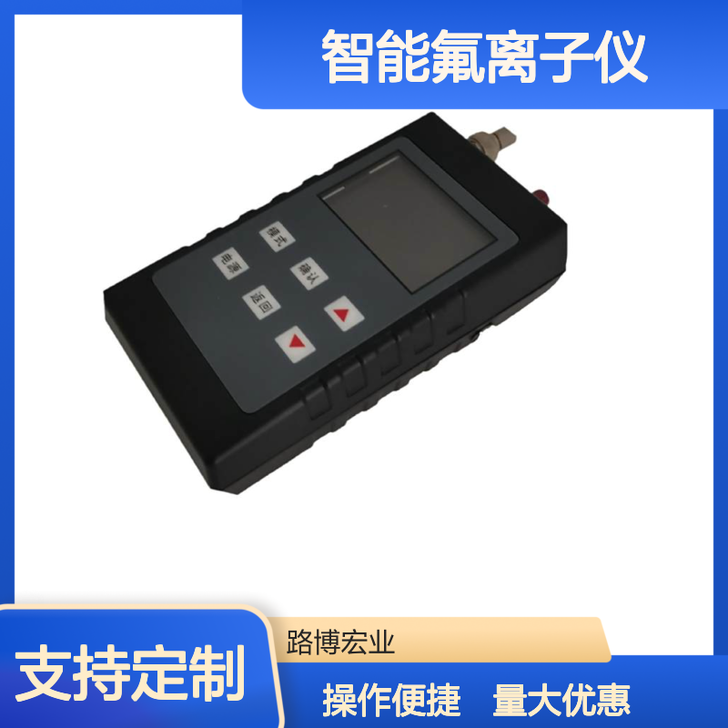 智能氟离子仪(彩屏)便携式氟离子监测仪手持式氟离子分析仪