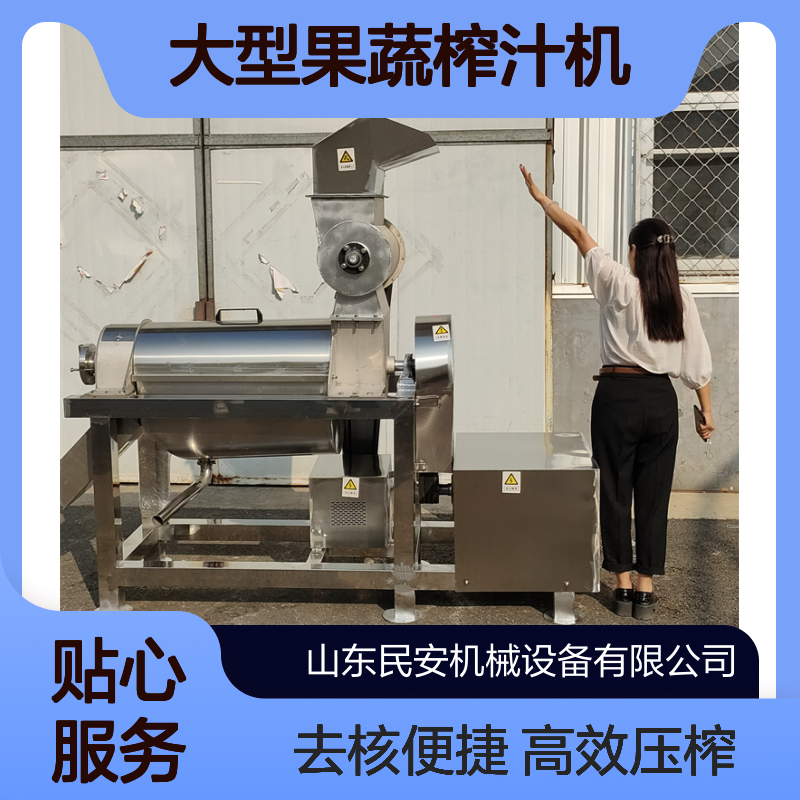 饮料果酒清洗榨汁生产线大型果蔬榨汁机去核打浆机 果汁加工压榨机