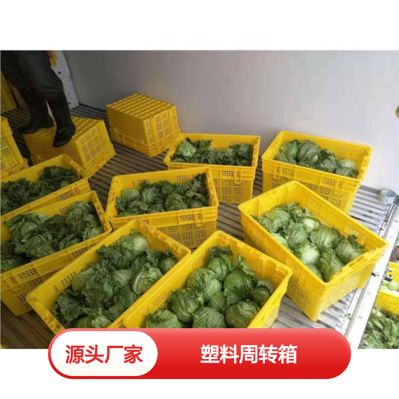 乔丰塑料周转箱 多样尺寸可选 耐用易清洗 无毒无味
