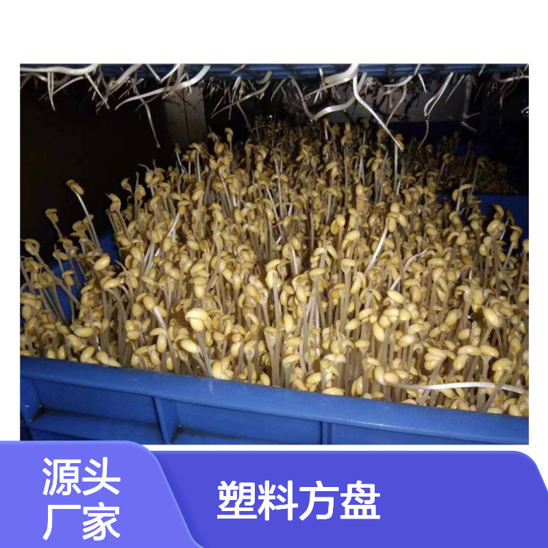 乔丰塑胶方盘 一次性注塑成型 质轻坚固 防潮防蛀