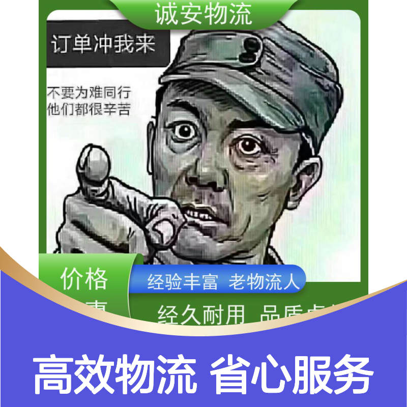 诚安物流小货车香港拖柜一般贸易买单报关半天到