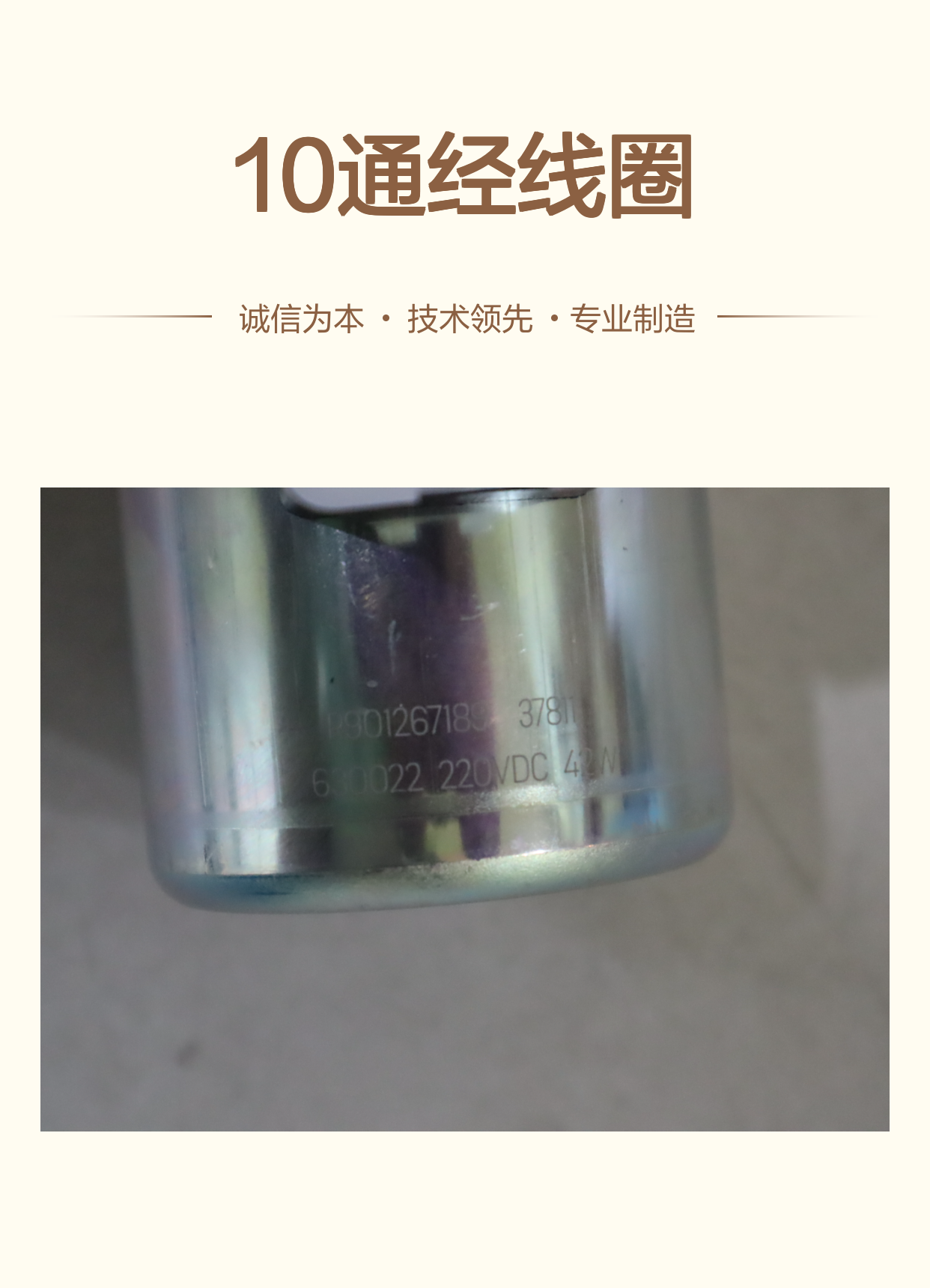 R901267189 AS 220VDC 42W 德国力士乐REXROTH电磁阀10通经线圈