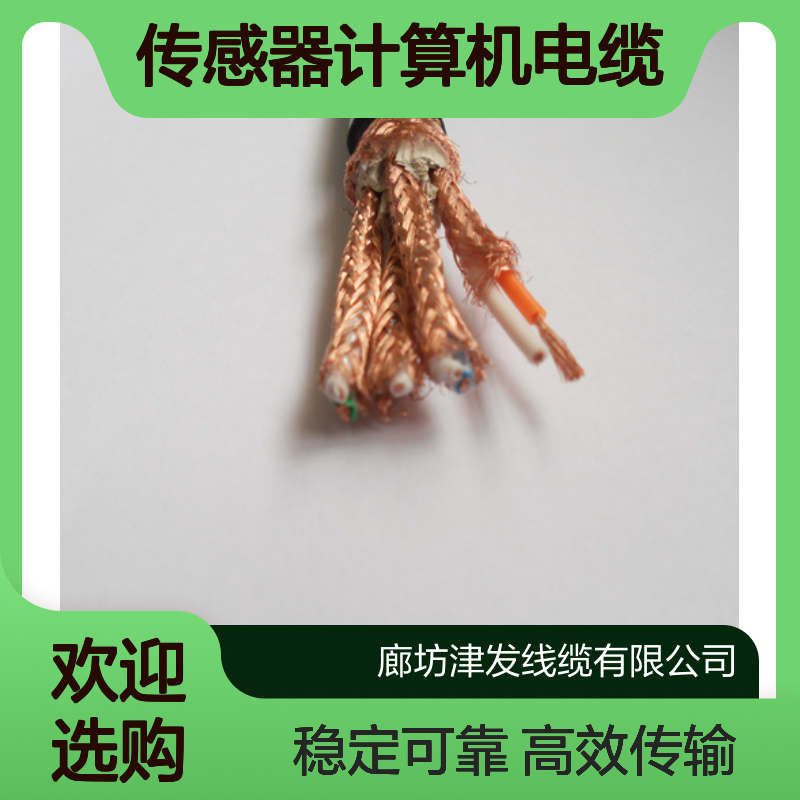 DJYPVP双屏蔽工控信号线 多芯传感器计算机电缆