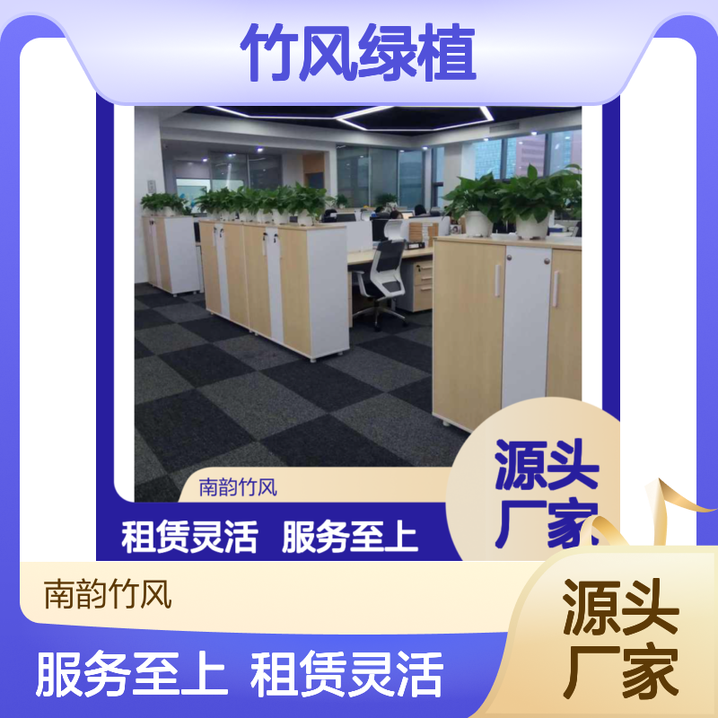 南韵竹风绿植摆租 全程养护 成活率高 品质如一