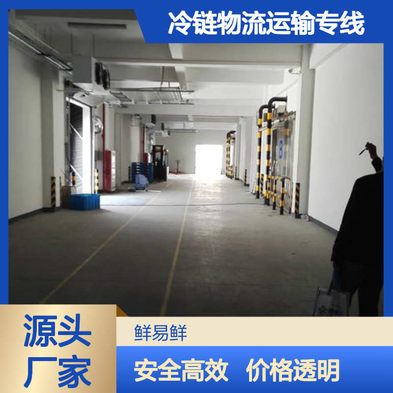 鲜易鲜冷链物流专线 佛山至东莞生鲜蔬菜门到门全天服务