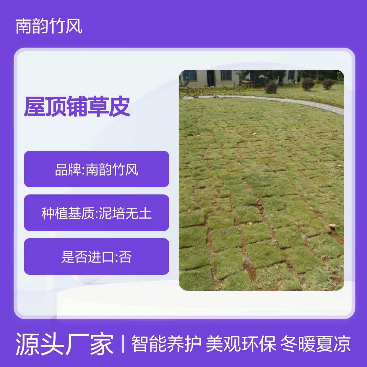 屋顶铺草皮 新型种植无需考虑承重量 直接铺防风隔热 智能养护好打理