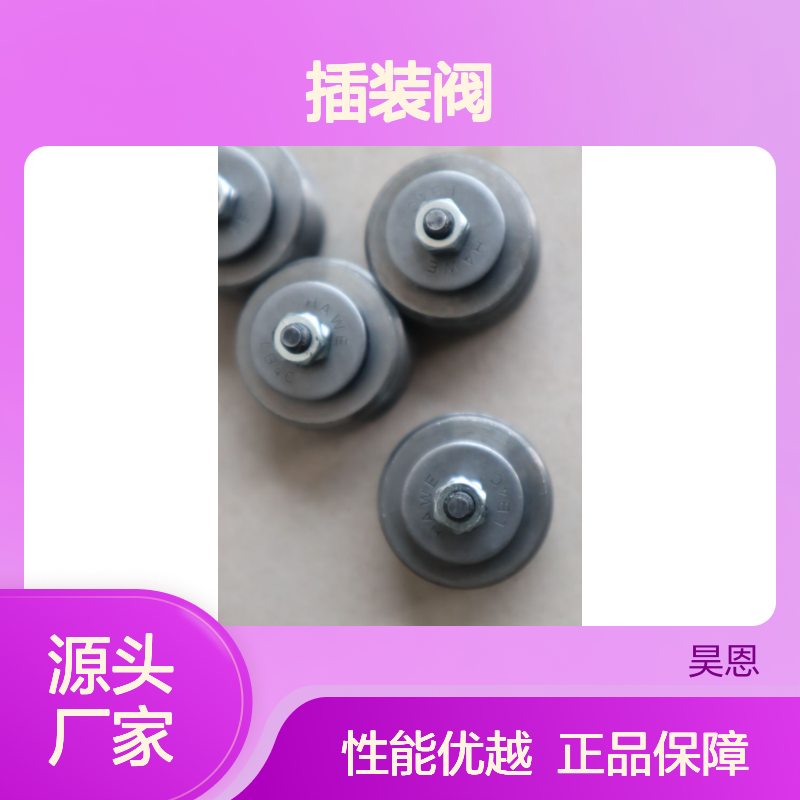德国哈威HAWE LB4C-160插装阀 正品保障 性能卓越
