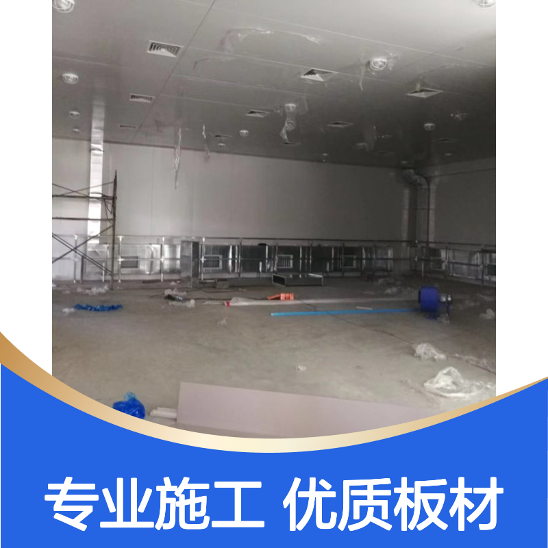 钢结构隔层 车间改造硅盐彩钢板屋面加盖 厂区车间岩棉板装修
