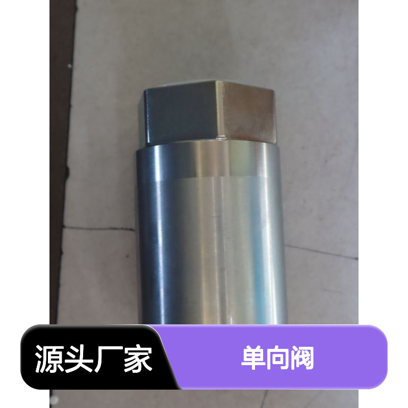 S25A05-10/420J3 S25A05-1X/420J3 R901454079 力士乐REXROTH单向阀