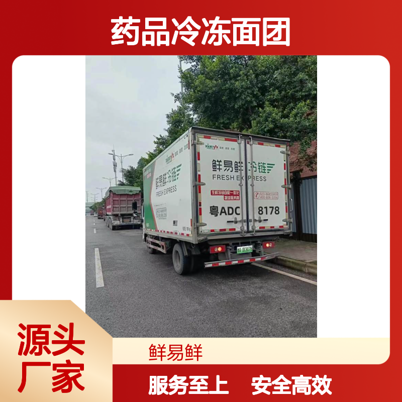 广州到海口，三亚冷冻物流 冷藏配送冷冻运输 药品冷冻面团冷链物流