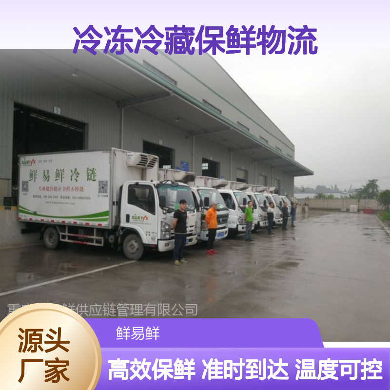 广州到海口 冷链物流公司 准时到达 冷冻冷藏保鲜物流运输