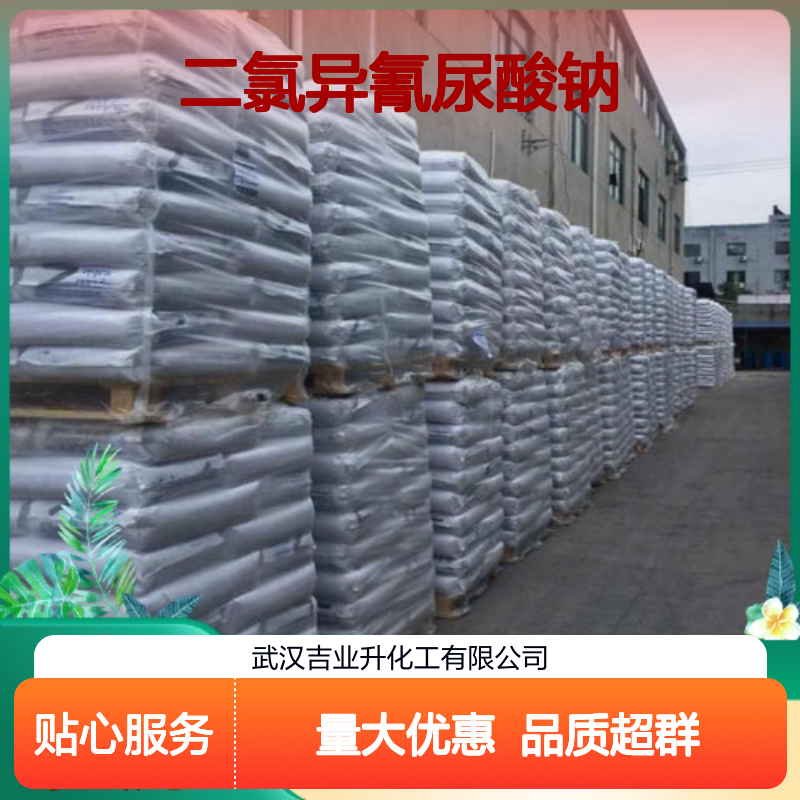 白色粉末 水处理 二氯异氰尿酸钠 纺织漂白 游泳池处理 2893-78-9