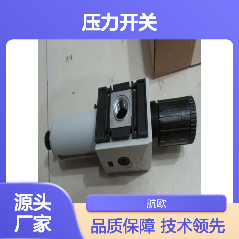 部分型号有库存Riegler压力开关气动执行器247.11